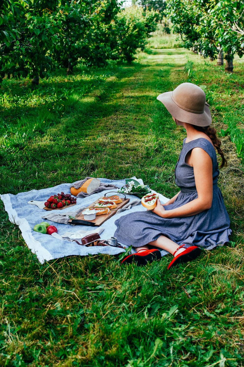 picnic boursin dans un champs